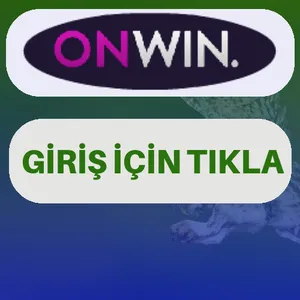 Onwin giriş